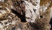 Randonnée Marche La Chapelle-en-Vercors - Belvédère de Revoulat - Photo 6