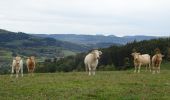 Tour Reiten Ban-de-Laveline - 2018-10-11 Rando CVA Vosges Prof Ban De Laveline Taintrux - Photo 1