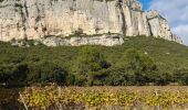 Tocht Stappen Valflaunès - L'hortus et château de Vivourès - Photo 3