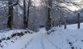 Trail Walking Vielsalm - froidure à fraiture  - Photo 9