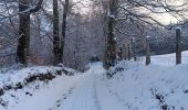 Tocht Stappen Vielsalm - froidure à fraiture  - Photo 9