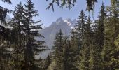 Excursión Senderismo Chamonix-Mont-Blanc - la flegere - Photo 4