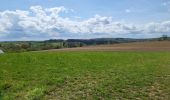 Trail Walking Havelange - Barvaux en Condroz 220425 - Photo 13