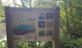 Tocht Stappen Delincourt - Delincourt, Le Mesnil, Reilly, La vierge, Delincourt - Photo 20