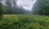 Tour Wandern Martelingen - rando vlessart 27-06-2022 - Photo 14