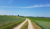 Trail Walking Gulpen-Wittem - 2021-06-14_21h05m37_853 - Photo 8