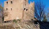 Randonnée Marche Husseren-les-Châteaux - Husseren les Châteaux - Photo 8