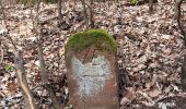 Tour Zu Fuß Gründau - Kulturweg Gründau-Rothenbergen - Photo 5