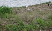 Tour Wandern Pérignat-sur-Allier - Pérignat-sur-allier - Photo 3