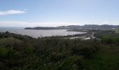 Tocht Stappen Le Robert - Pointe Savane plage des Resignier - Photo 5