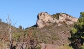 Tour Wandern Embres-et-Castelmaure - Embres castelmaure - Photo 5