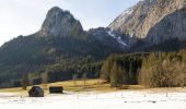 Tocht Te voet Liezen - Weißenbacher Rundwanderweg - Photo 2