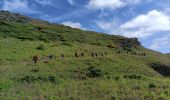 Excursión Marcha nórdica Bangor - troisième étape belle ile - Photo 1