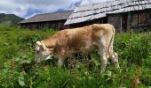 Randonnée Marche Untertauern - Ober - Photo 4