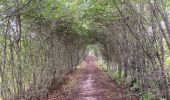 Tour Wandern Diksmuide - Blanquaart 19 km - Photo 3