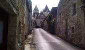 Tocht Stappen Veyrines-de-Domme - Les Milandes 13km - Photo 4