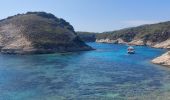 Tocht Stappen Bonifacio - plages des calanques et phare - Photo 11