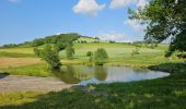 Tour Wandern Saint-André-la-Côte - Le signal - Photo 7