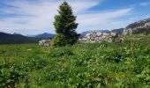 Tocht Stappen Fillière - ronceveau au col du freu 24 juin 19 - Photo 6