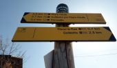 Trail Walking Guillestre - Risoul: Le Villaret   Peyre Haute - Photo 15
