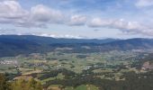 Tocht Stappen Villard-de-Lans - villars de lans - refuge aliere - Photo 4