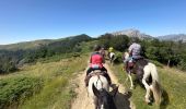Trail Horseback riding Ansó - Anso - Isaba - Photo 14