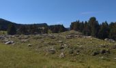 Percorso Mountainbike Saint-Agnan-en-Vercors - Pré Peyret depuis la Coche - Photo 3