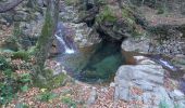 Trail Walking Dolcedo - Laghetti di Lecchiore 27.12.24  - Photo 2