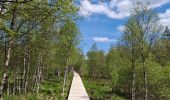 Tocht Stappen Waimes - Fagnes Mont Rigi - Photo 1