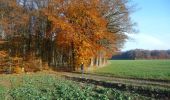 Percorso A piedi Wincrange - Wikiloc Urspelt Maulusmuhle - Photo 1