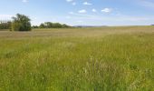 Tour Wandern Dossenheim - Le Bastberg depuis Dossenheim-sur-Zinsel - Photo 3