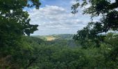 Randonnée Marche Ettelbruck - Escapardenne Lee Trail: Ettelbrück - Moulin de Bourscheid - Photo 14