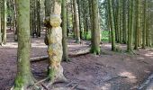 Percorso A piedi Brașov - Poiana Brașov - Pârtia Lupului - Avenul Groapa de Aur - Valea Poienii - Photo 9