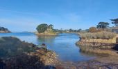 Randonnée Marche Île-de-Bréhat - Brehat du Nord au Sud - Photo 5