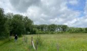 Tour Wandern Dilbeek - Sint Anna Pede petit tour - Photo 3