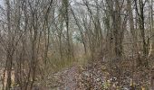 Excursión A pie Königs Wusterhausen - Rundweg Funkerberg - Photo 7