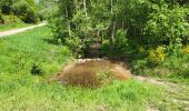 Excursión Senderismo La Roche-en-Ardenne - Sanree 300523 - Photo 11