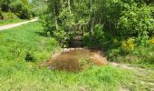 Trail Walking La Roche-en-Ardenne - Sanree 300523 - Photo 11