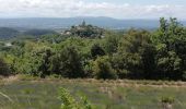 Excursión Senderismo Clansayes - Clansayes  Côte du Serre Chapelle Toronne 7km - Photo 1