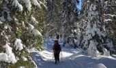 Excursión Raquetas de nieve Les Rousses - Noirmont et mont Sala Suisse - Photo 4