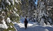 Randonnée Raquettes à neige Les Rousses - Noirmont et mont Sala Suisse - Photo 4