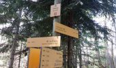 Tour Wandern Ontex - MONT DE LA CHARVAZ: POINT GEODESIQUE DE LA CHARVAZ - Photo 2