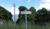 Tour Zu Fuß Carenno - Percorso didattico naturalistico del Pertüs - Photo 6