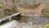 Trail Walking Tellin - Grupont au Bois de Machi - Photo 5
