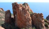 Randonnée Marche Saint-Raphaël - Pk Col de Belle Barbe - Ravin Mal Infernet - Pic du Cap Roux - Grotte Saint Honorat - Ravin des Lentisques - Photo 9