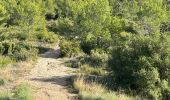 Trail Walking Pourrières - Pourcieux :Mont Olympe et Pas du Titet - Photo 5