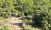 Randonnée Marche Pourrières - Pourcieux :Mont Olympe et Pas du Titet - Photo 5