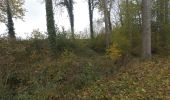 Trail On foot Villers-le-Bouillet - FIZE 2019-11-11 - Photo 6