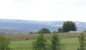 Trail Walking Houyet - Balade en Val de Lesse - De Hour à Wanlin - Photo 2