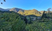 Tour Wandern Metzeral - Tour Steinabruck - Mittlach - Photo 19
